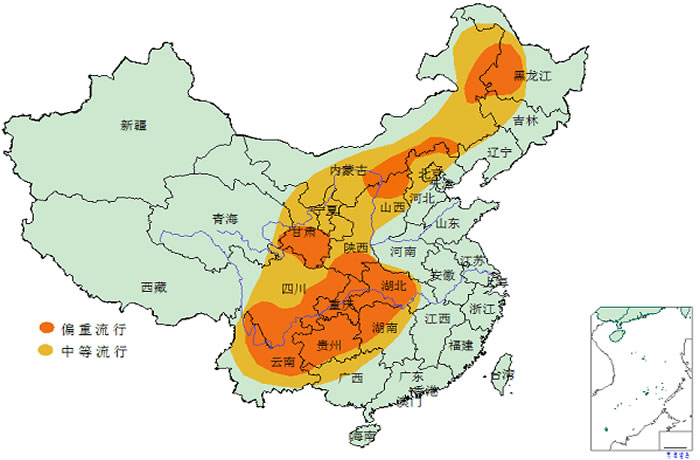 不朽情缘--手机版app官网